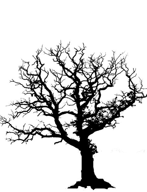 Free Oak Tree Silhouette Download Free Oak Tree Silhouette Png Images