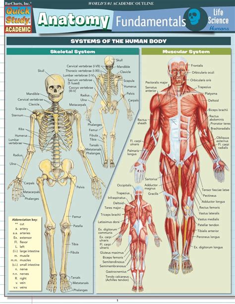 Anatomy Study Guide Ebook Rental Anatomy Life Science Anatomy Study