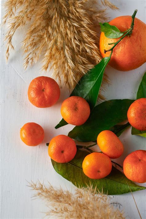 Fresh Oranges Citrus Fruits Free Photo On Pixabay Pixabay