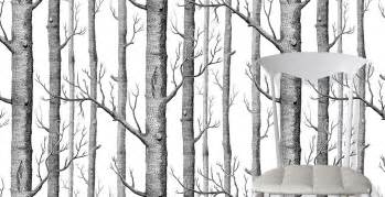 Cole And Son Revolutionary And Contemporary Wallpapers