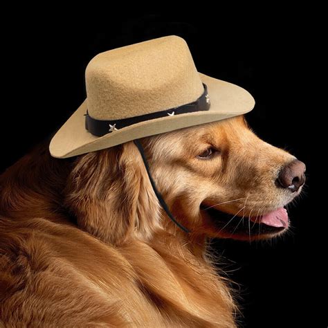 Cowboy Costume Hat For Dogs Holiday Party Show Cap Accessory Outfit