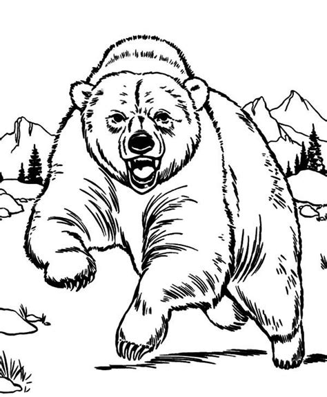 Realistic polar bear coloring pages. Grizzly Bear Coloring Pages | grizzly bear coloring page ...