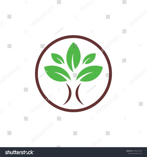 Tree Logo Design Template Royalty Free Stock Vector 1035257236