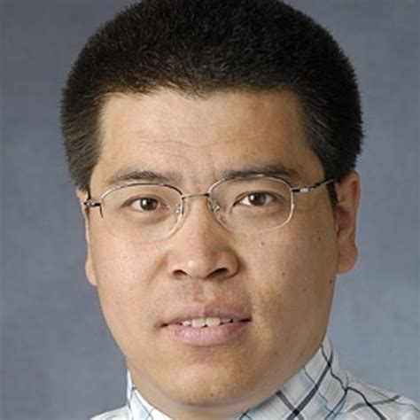 Hui Zhao Professor Associate Phd University Of Kansas Kansas