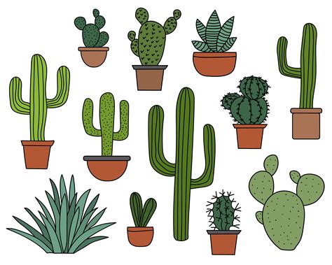 Cactus Clipart Set Hand Drawn Clip Art Illustrations Of