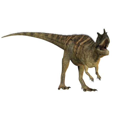 The Ceratosaurus Is A Horned Theropod Dinosaur Found In North America