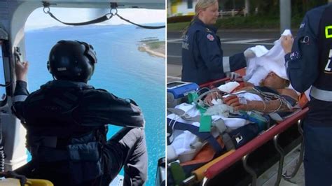Quick Thinking Act ‘saved Mans Life After Shark Attack Off Great Barrier Reef Rsharklab