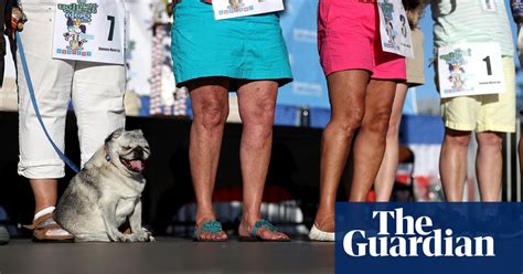 Worlds Ugliest Dog Competition 2016 In Pictures Life And Style