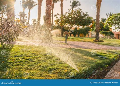 Irrigation Of Plants In The Tropical Park Of The Hotel Complex