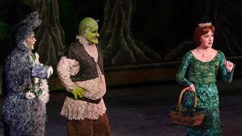50 How Did They Change Fiona In Shrek The Musical