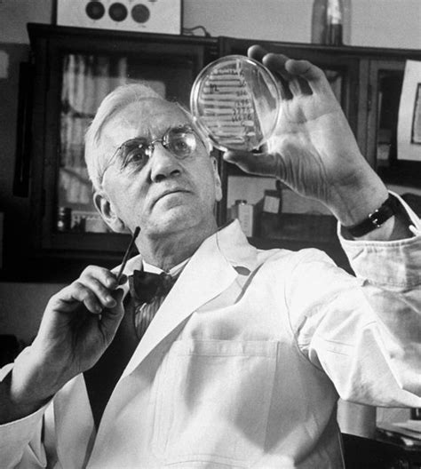 Sir Alexander Fleming Was Born On August 6 1881 In Lochfield Scotland