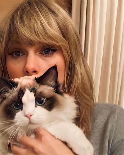 taylor with cats taylor swift cat taylor swift pictures taylor swift style