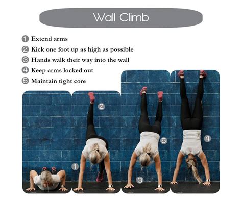 Learn How To Perform Wall Climb Technique Setup And Execution