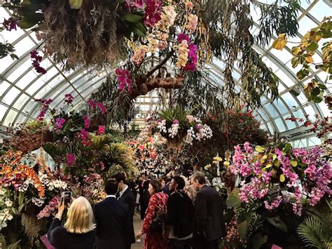 The New York Botanical Garden Orchid Show Quintessence