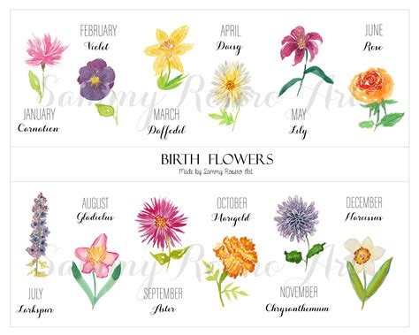 Watercolor Birth Flowers Digital Download Monthly Flowers Birth