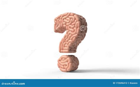 Human Brain In Shape Of Question Sign 3d Illustration Stock