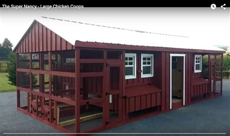 Chicken Coop For 20 Chickens Beautiful Amish Built Coops