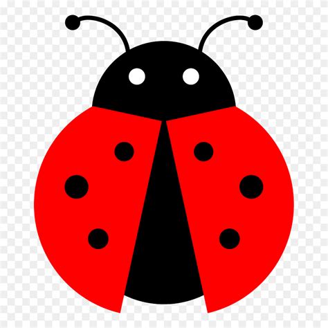 Download Flying Ladybug Clipart Ladybug Png Transparent Png 5216257