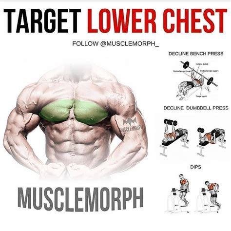 Pin By Serdar On Army Lower Chest Workout Chest Workouts Workout Plan Gym