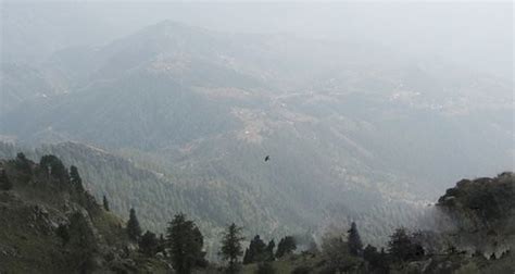 Shaily Peak Shimla Entry Fee Timings Images And Location Shimla