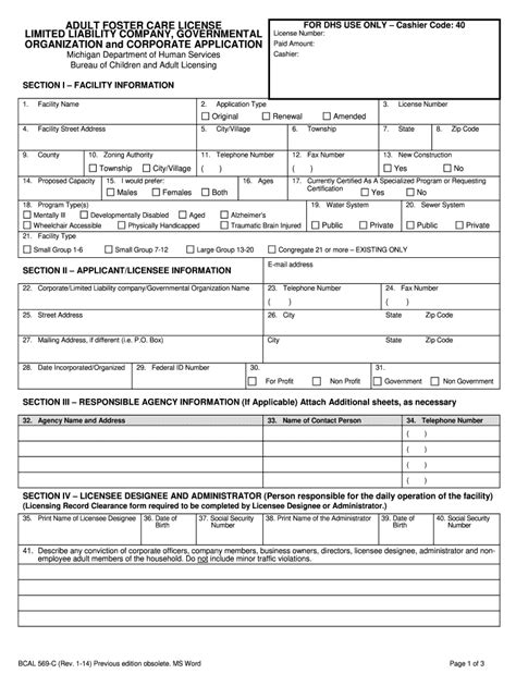 Foster Care License Fill Out And Sign Printable Pdf