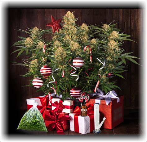 Cannabis Christmas T Ideas 5 Great Ts For Weed Lovers This