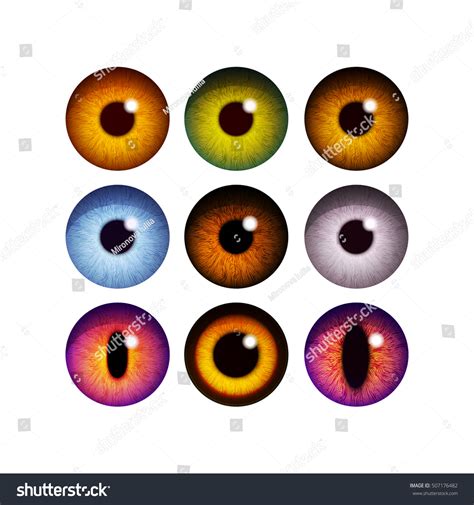 Human Pupil Eyeballdifferent Color Eye Lenses Stock Vector 507176482