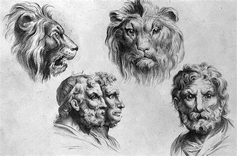 Contact animals drawing on messenger. Animal Transformations Drawings from the 1600s | Anatomy sketches, Drawings, Sketches