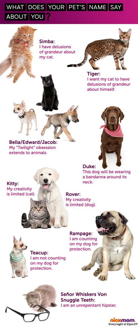 52 Best Images About Original Pet Names On Pinterest Cat Names Funny