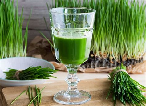 Wheatgrass Juice 101 Benefits Top Uses Side Effects More