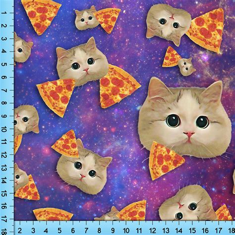 download cute kittens with pizza picture
