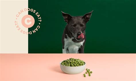 Are Frozen Peas Bad For Dogs