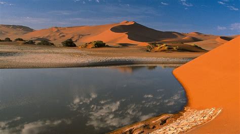 Desert Oasis Wallpapers Top Free Desert Oasis Backgrounds