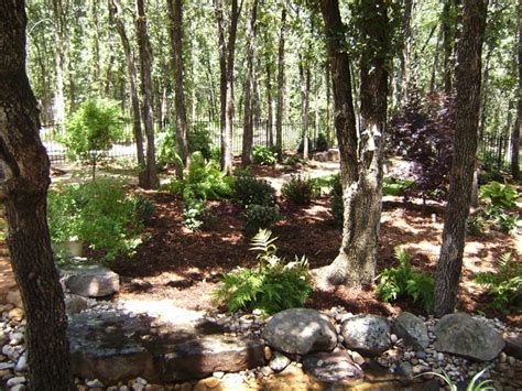 Woody vines like bougainvillea, in contrast, are best suited for pergolas and other. 146 best images about RUSTIC LANDSCAPE FOR ME! on ...