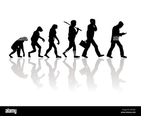 Human Evolution Black And White Stock Photos And Images Alamy