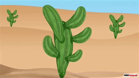 The camel is adapted to life in a hot climate. Class 4 Science - Chapter Adaptations in Plants | Plants ...