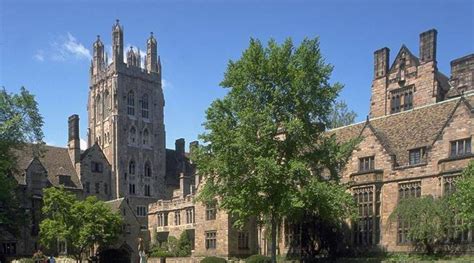 They are energized by new ideas and their enthusiasm enlivens the team. Paradise Papers: Yale University turned to offshore firm ...