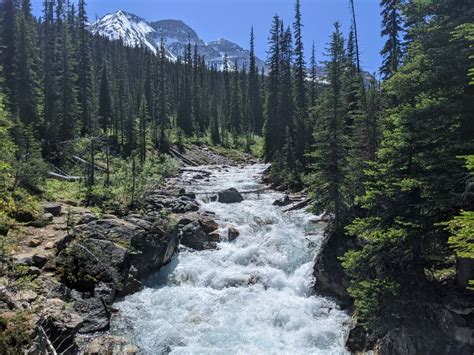 Hiking The Iceline Trail Yoho National Park Complete Guide
