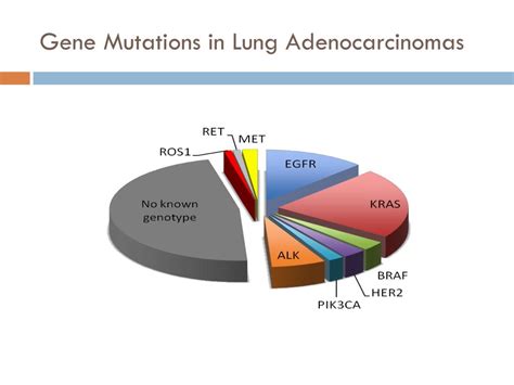 Ppt Alk In Lung Cancer Past Present And Future Powerpoint