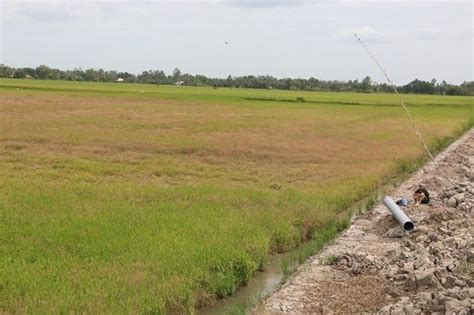 Drought Saltwater Intrusion Threatens Farming Local Life In Mekong Delta Vietnam Water Portal