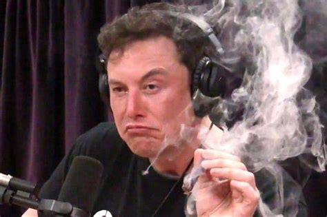 Elon Musk Jokes About Smoking Weed Ahead Of Twitter Board Meetings
