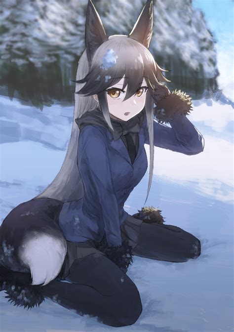 Silver Fox In The Snow Kemono Friends Kitsunemimi