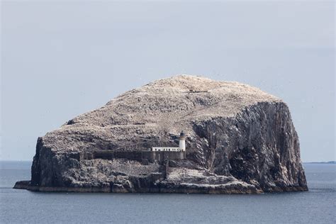 Bass Rock The Bass Rock Or Simply The Bass Is An Island Flickr
