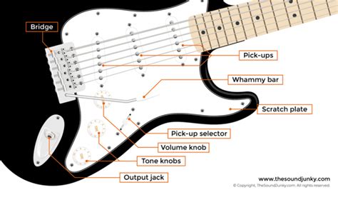 Parts Of A Guitar Including String Labels Fret Numbering And More
