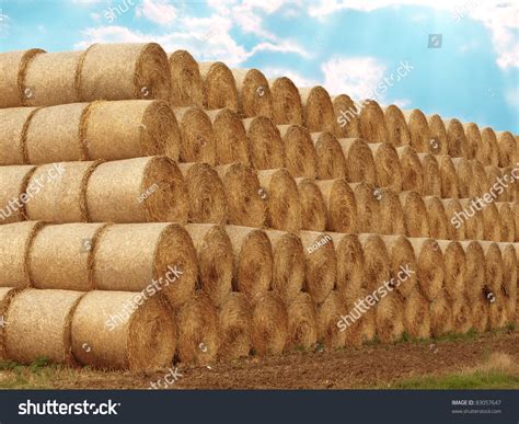 Large Pile Bales Hay Outdoors Field Stock Photo Edit Now 83057647