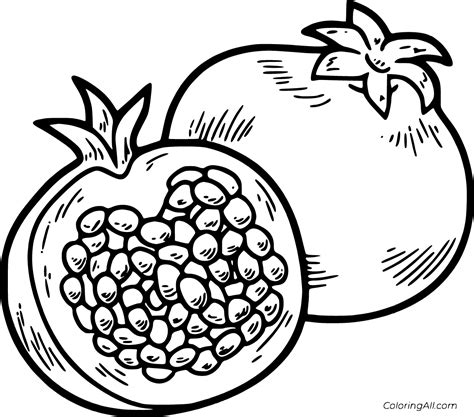 Pomegranate Images Coloring Pages For Kids