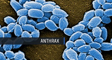 Anthrax Government Resources Health Disability Safety Nutrition