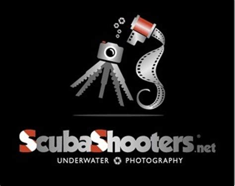 amazing photography logo designs design lila blog