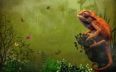 Nature Chameleons Artwork Reptiles Wallpapers Hd Desktop And