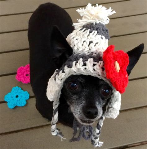 Crochet Hat For Dogs Small Dog Clothing Chihuahua Hats Small Dog